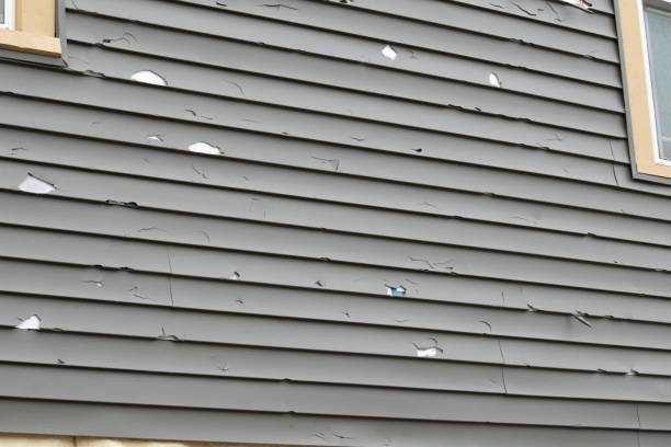 Best Fascia and Soffit Installation  in Jackson, AL
