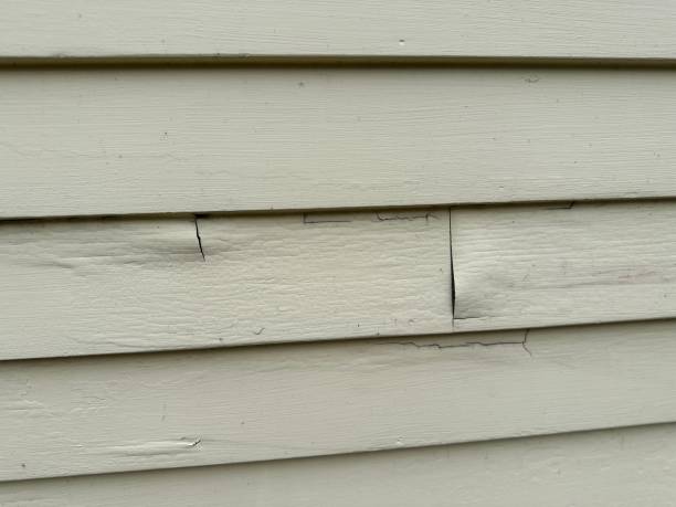 Best Aluminum Siding Installation  in Jackson, AL